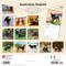 BrownTrout; Australian Kelpies | 2027 12 x 24 Inch (Hanging) Monthly Square Wall Calendar | Plastic-Free; Category:Wall Calendars; Image:3